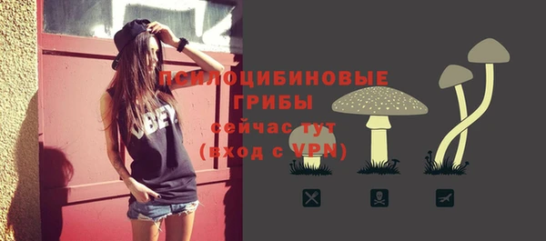 СК Щучье