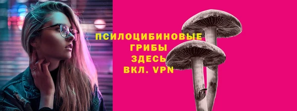 a pvp Каменск-Шахтинский