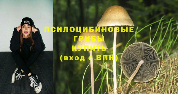 mix Каменка