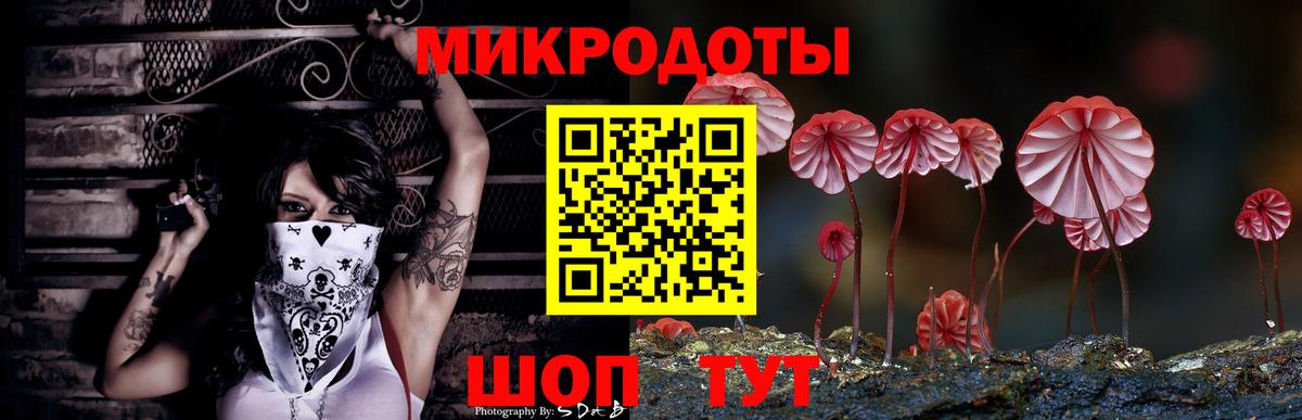 Псилоцибиновые грибы Psilocybe Спасск-Дальний
